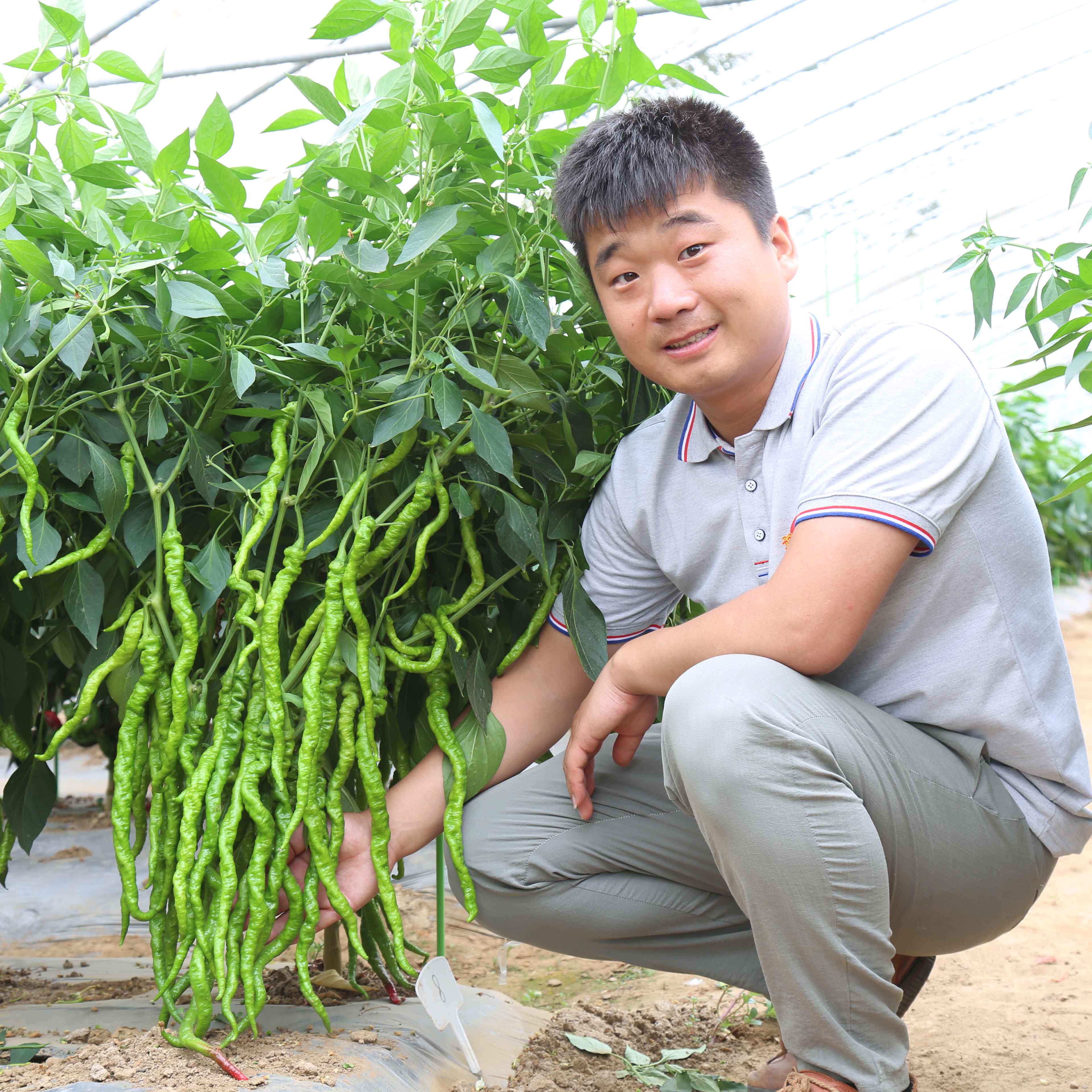 金富小麻花